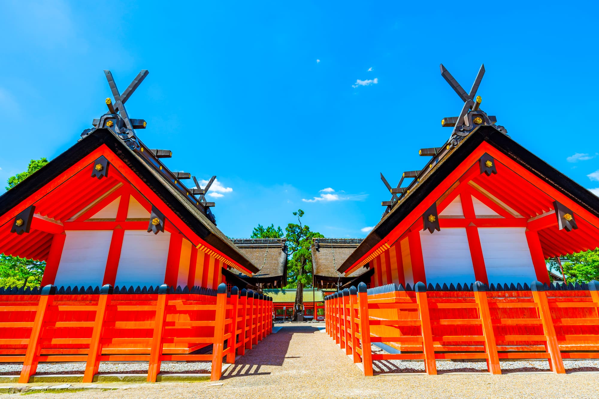 祠宮(並） 楽天市場】外宮 極上八幡 1尺5寸（高さ204cm）国産品 木曽ヒノキ製（No